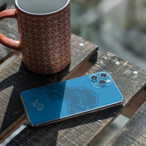 NFL Detroit Lions Double Vision iPhone 11 Pro Skin