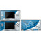 NFL Detroit Lions DS Lite Skin