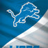 NFL Detroit Lions Galaxy Note 8 Skin