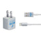 NFL Detroit Lions Grey Performance Series iPhone Charger (5W USB) Skin