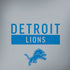 NFL Detroit Lions Grey Performance Series iPhone X Pro Case