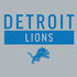 NFL Detroit Lions Grey Performance Series PS4 Console Skin