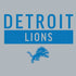NFL Detroit Lions Grey Performance Series PS4 Controller Skin