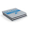 NFL Detroit Lions Grey Performance Series PS4 Pro Console Skin