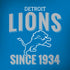 NFL Detroit Lions Helmet iPhone X Pro Case