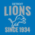 NFL Detroit Lions Helmet PS4 Slim Skin