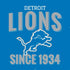 NFL Detroit Lions Helmet PS4 Slim Bundle Skin