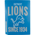 NFL Detroit Lions Helmet PS5 Bundle Skin