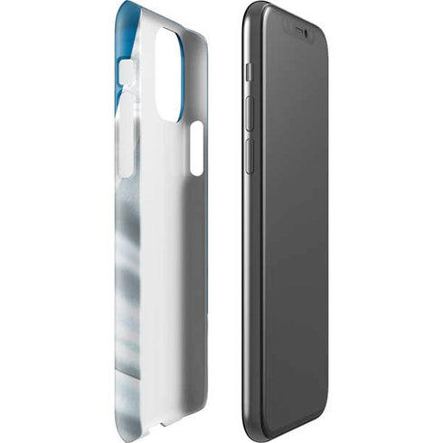 NFL Detroit Lions iPhone 11 Pro Lite Case