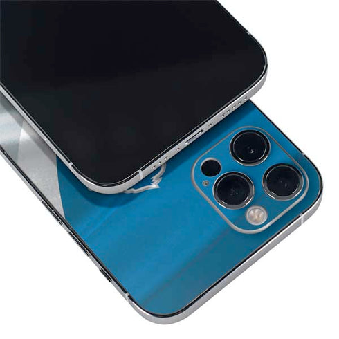 NFL Detroit Lions iPhone 12 Pro Max Skin