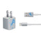 NFL Detroit Lions Large Logo iPhone Charger (5W USB) Skin