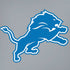 NFL Detroit Lions Large Logo iPhone XS Max Skin