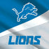 NFL Detroit Lions Moto E5 Play Skin