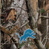 NFL Detroit Lions Realtree AP Camo Nintendo 2DS XL (2017) Skin