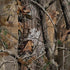 NFL Detroit Lions Realtree AP Camo iPhone X Skin