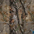 NFL Detroit Lions Realtree AP Camo Notebook 9 Pro 13in (2017) Skin