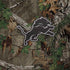 NFL Detroit Lions Realtree Xtra Green Camo Galaxy Note 8 Skin