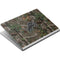 NFL Detroit Lions Realtree Xtra Green Camo Surface Book Skin