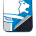 NFL Detroit Lions Retro Logo iPhone 12 Skin
