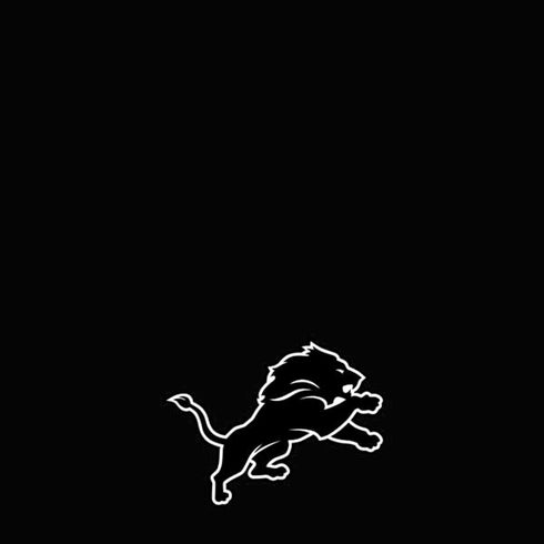 NFL Detroit Lions Shutout iPhone XR Skin