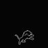 NFL Detroit Lions Shutout iPhone XR Skin