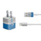 NFL Detroit Lions Vintage iPhone Charger (5W USB) Skin
