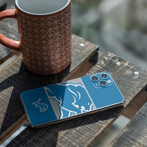 NFL Detroit Lions Zone Block iPhone 11 Pro Skin