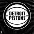 NBA Detroit Pistons Black Animal Print PS4 Console and Controller Bundle Skin