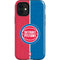NBA Detroit Pistons Canvas iPhone 12 Mini Impact Case
