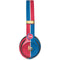 NBA Detroit Pistons Canvas Studio Wireless 3 Skin
