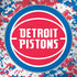 NBA Detroit Pistons Digi Camo Notebook 9 Pro 13in (2017) Skin