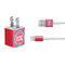NBA Detroit Pistons Large Logo iPhone Charger (5W USB) Skin