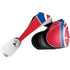 NBA Detroit Pistons Large Logo PlayStation VR2 Skin