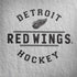 NHL Detroit Red Wings Black Text Galaxy Note 8 Skin
