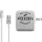 NHL Detroit Red Wings Black Text iPad Charger (10W USB) Skin