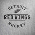 NHL Detroit Red Wings Black Text iPhone X Pro Case