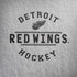 NHL Detroit Red Wings Black Text iPhone X Skin