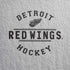 NHL Detroit Red Wings Black Text iPhone XR Pro Case