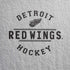 NHL Detroit Red Wings Black Text iPhone XR Skin