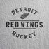 NHL Detroit Red Wings Black Text iPhone XS Pro Case