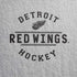 NHL Detroit Red Wings Black Text iPhone XS Skin
