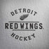 NHL Detroit Red Wings Black Text Legion Y720 Skin