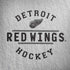 NHL Detroit Red Wings Black Text Moto G6 Skin