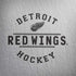 NHL Detroit Red Wings Black Text Notebook 9 Pro 13in (2017) Skin