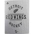 NHL Detroit Red Wings Black Text PS5 Bundle Skin