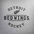 NHL Detroit Red Wings Black Text Surface Book 2 13.5in Skin