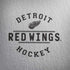 NHL Detroit Red Wings Black Text Surface Book 2 15in Skin