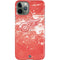 NHL Detroit Red Wings Frozen iPhone 11 Pro Lite Case