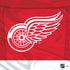 NHL Detroit Red Wings Home Jersey PS4 Console and Controller Bundle Skin