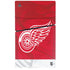 NHL Detroit Red Wings Home Jersey PS5 Slim Disk Bundle Skin